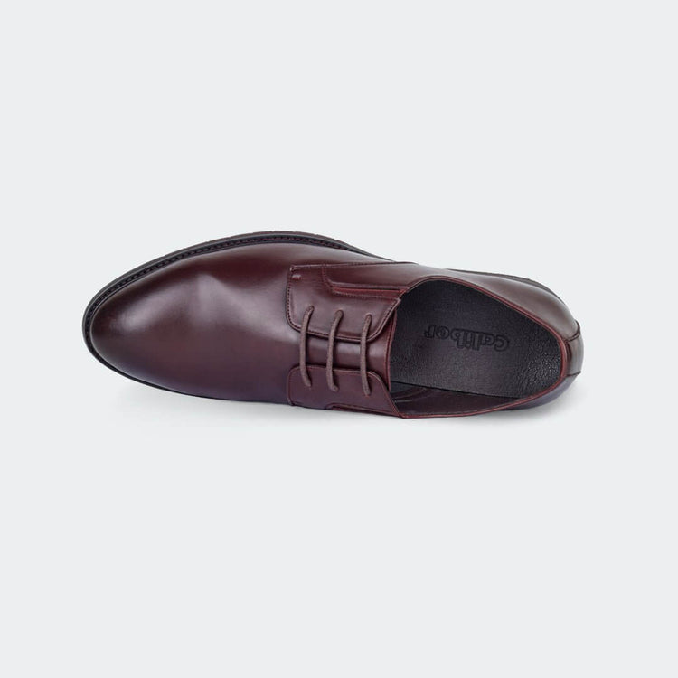 Caliber Shoes Coffee Lace Up Formal Shoes for Men (Y542C)