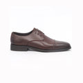 Caliber Shoes Coffee Wing Tip Lace Up Formal Shoes for Men (T505C)